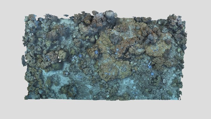 Masig_FR1S_P2_202203 3D Model