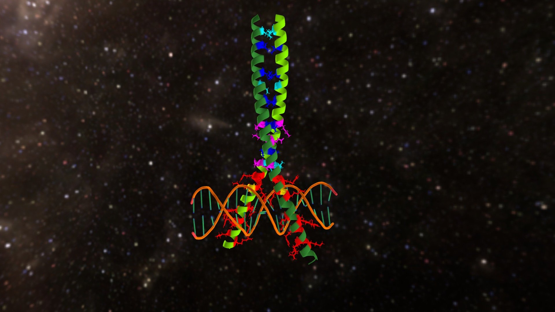 Activator Protein-1