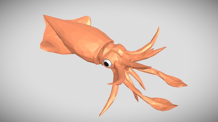 [Low Poly] Squid 3D Model