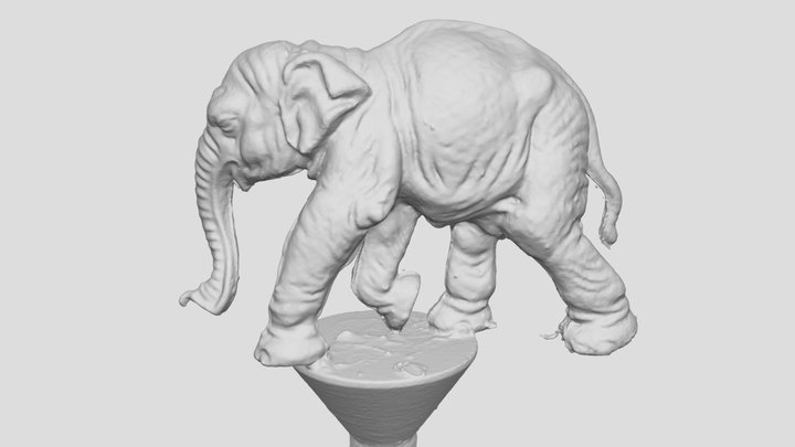 Elephant 3D Scan 3D Model
