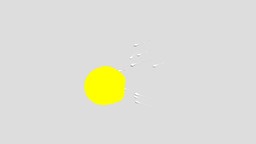 Ovum and egg