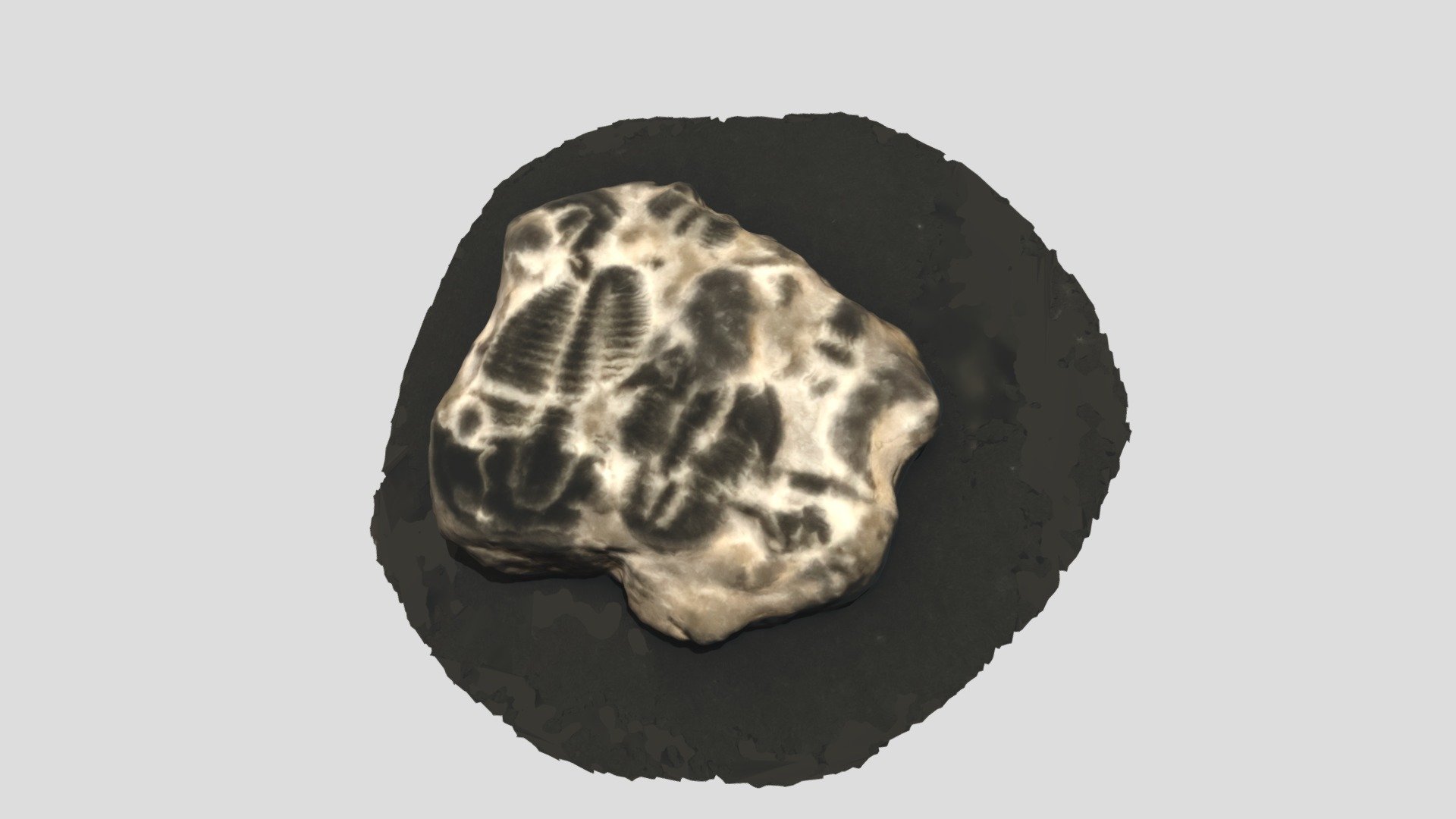 GEOL212 112
