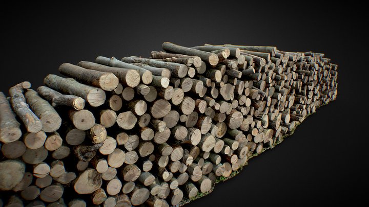 Wood Log Pile Large 3D Scan 3D Model