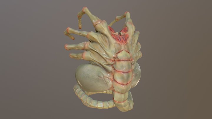 Alien: Facehugger (Fanart) (WIP) 3D Model