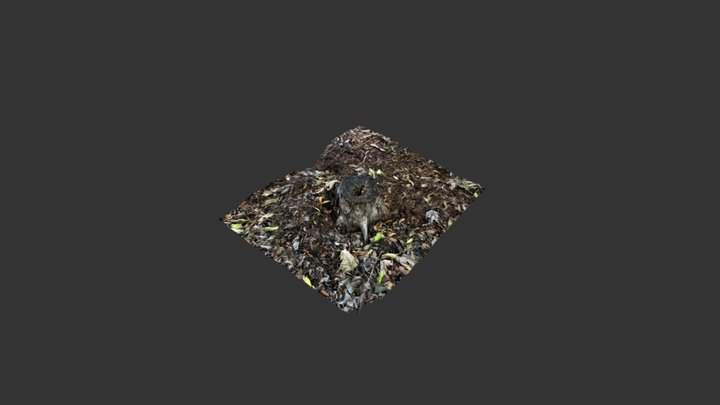 Stump 3D Model