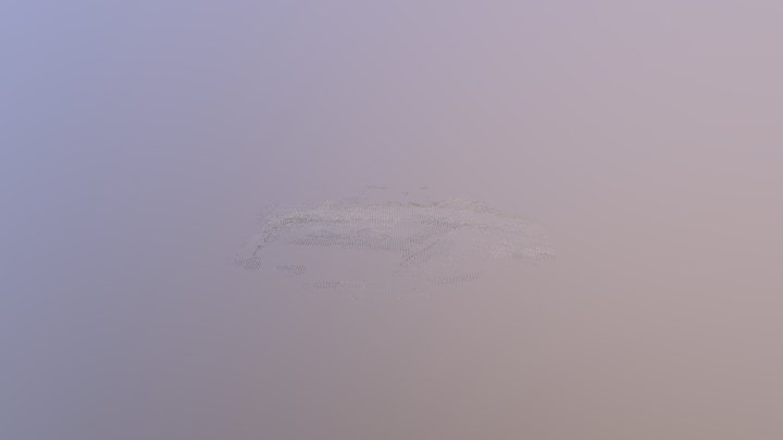 12 Dsm 100cm 3D Model