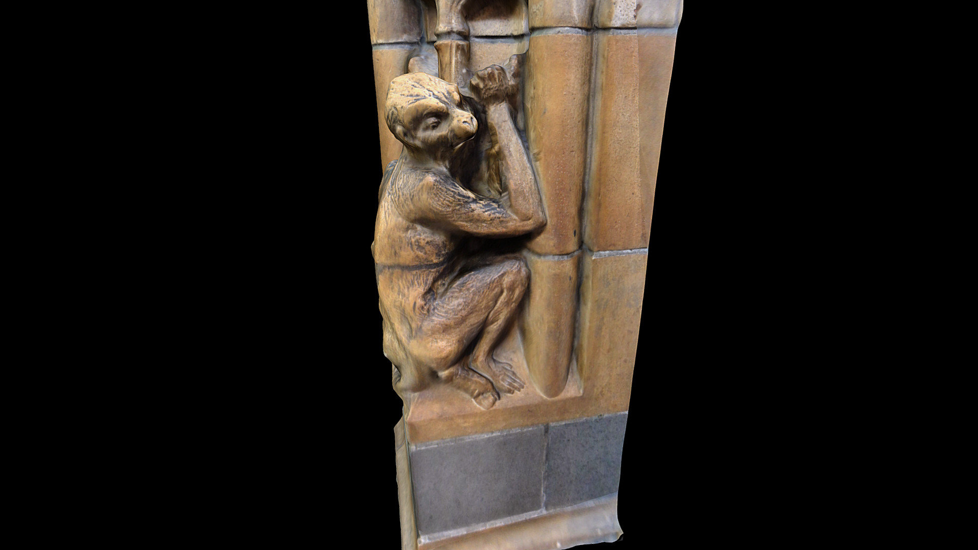 Hintze Hall detail, (Monkey)