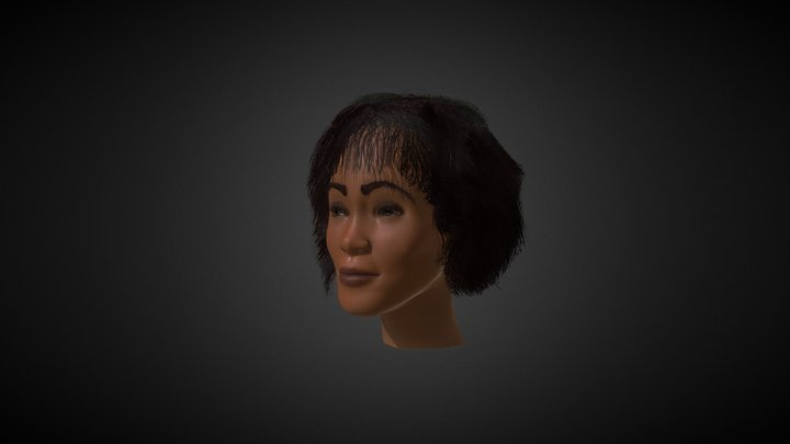 Whitney 3D Model