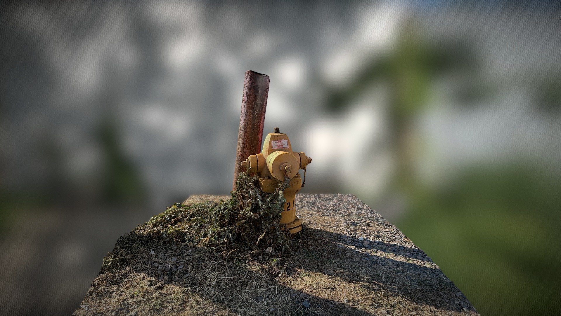 Overgrown Fire Hydrant