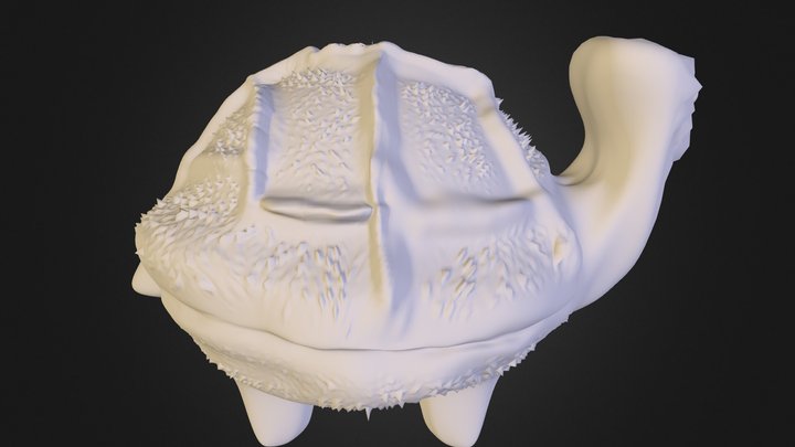 Head4- Turtle 3D Model