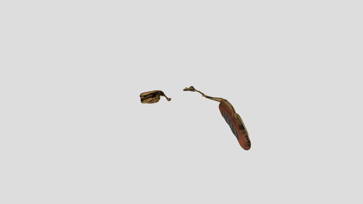 New Qlone 3D Model