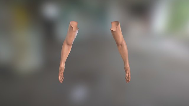 Bare Arms V2.0 3D Model