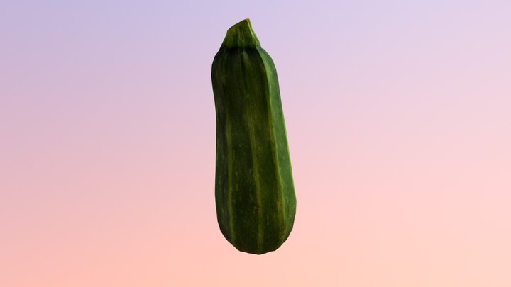 Zuchini free 3D Model