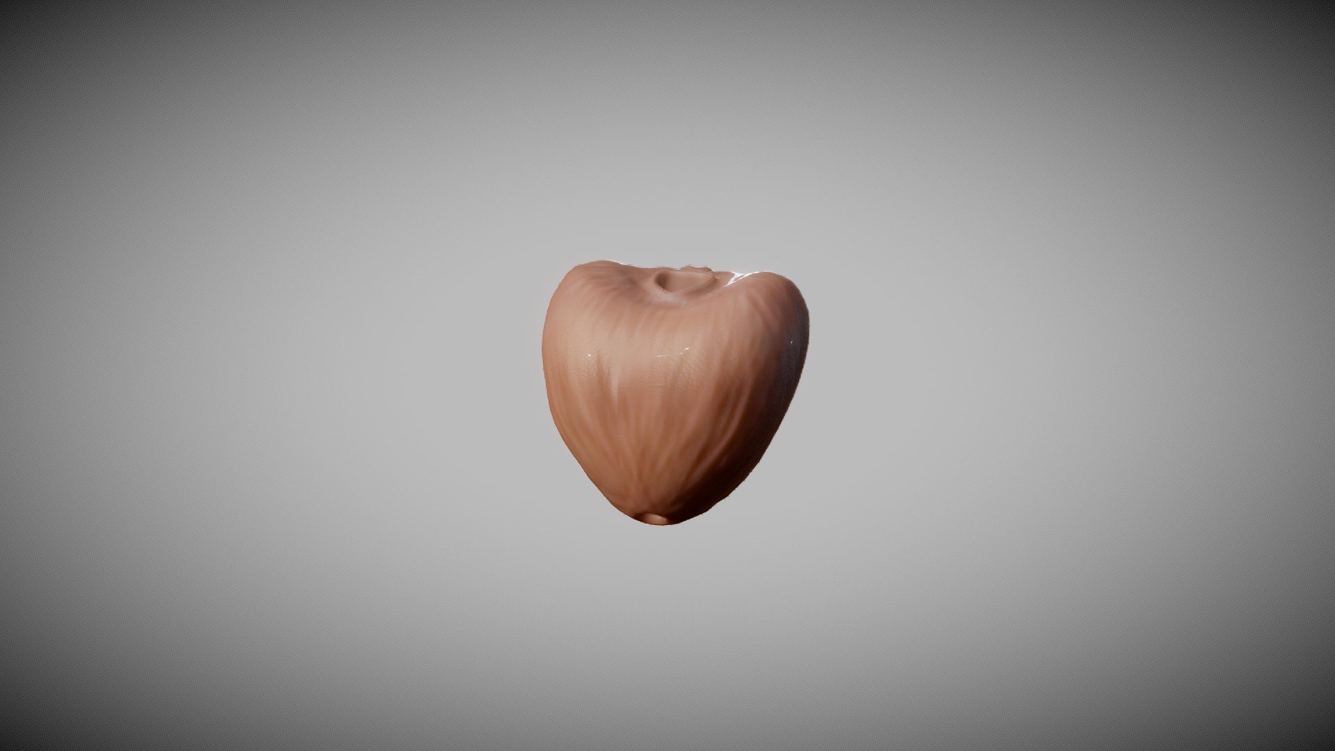 Prostate - Buy Royalty Free 3D model by Ebers [e12a794] - Sketchfab Store