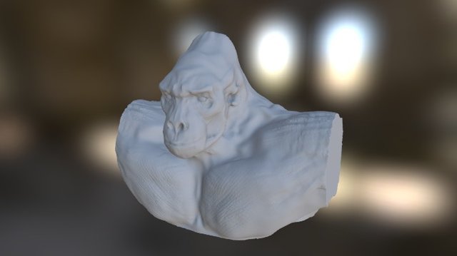 Gorilla bust sculpt 3D Model