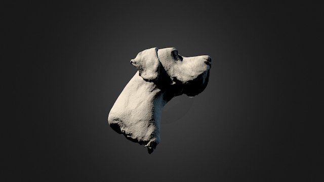 Scansione 3D riproduzione testa cane 3D Model