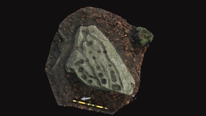 Bevaix_ Champs Legers 3D Model