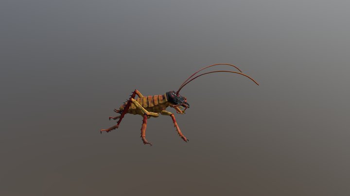 SculptrVR NZ Tree Weta 3D Model