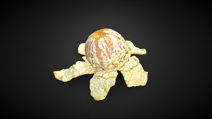 Orange Open 3D scan