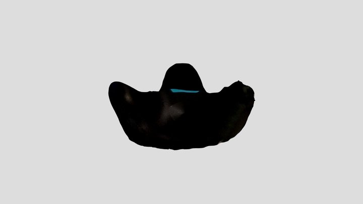 Vive Tracker Scan 3D Model
