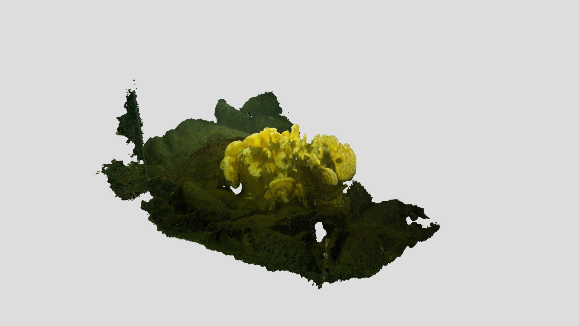 Station 5 2019-11-09 McKenzie Bight Cloud Sponge