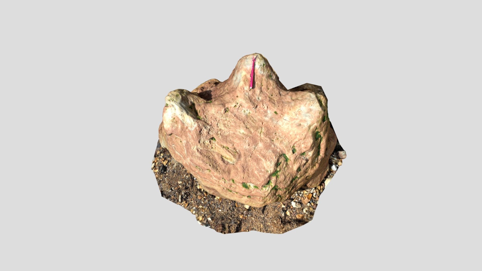 Dinosaur footprint from Hanover Point, IOW, UK.