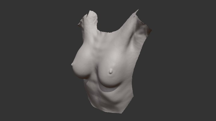 Breasts 3D Model
