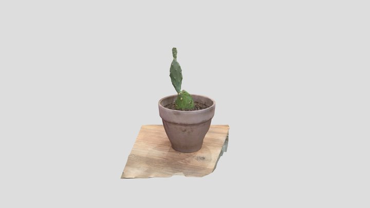 Untitled Scan 3D Model