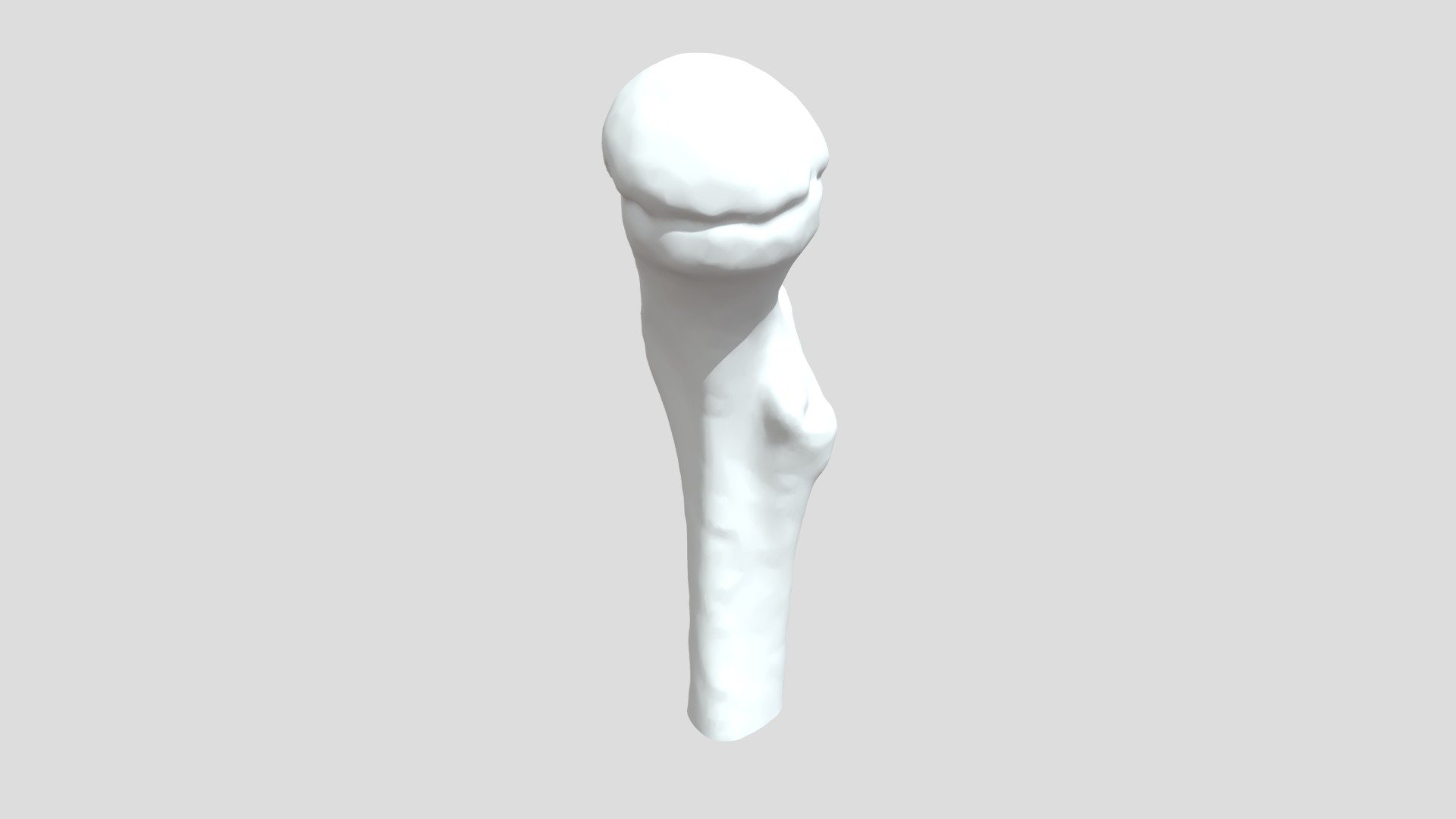 Knee