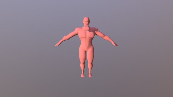 Crimson Chin 3D Model