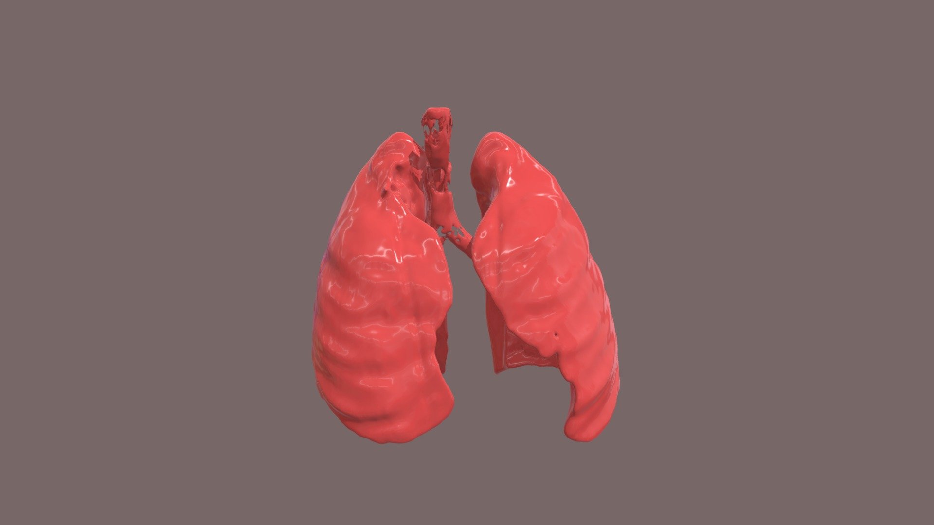 Segmentation_Lungs - 3D model by JamilaA [e13ae5e] - Sketchfab