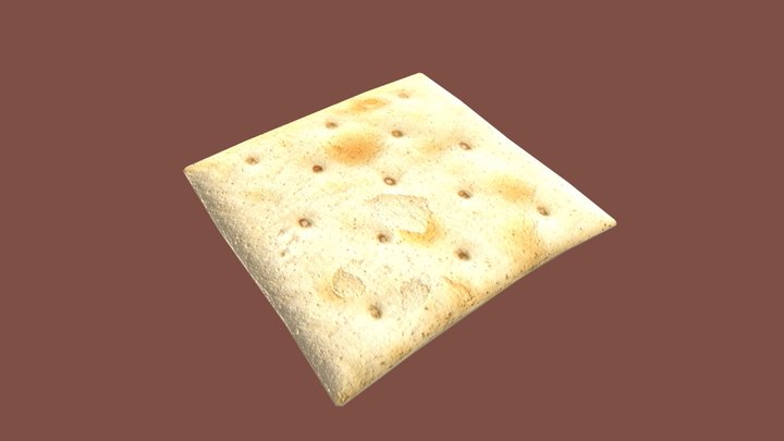 Salt Cracker 3D Model