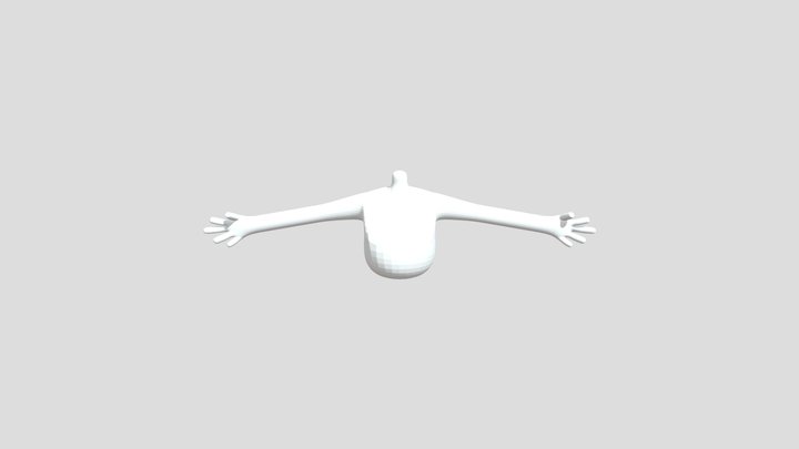 body 3D Model