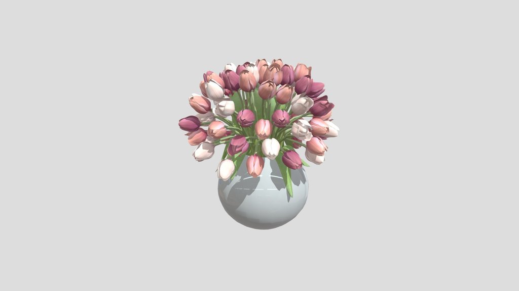 Pink Tulip