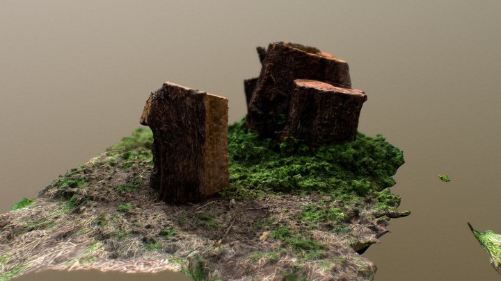 Tree Stump Photogrammetry 3D Model