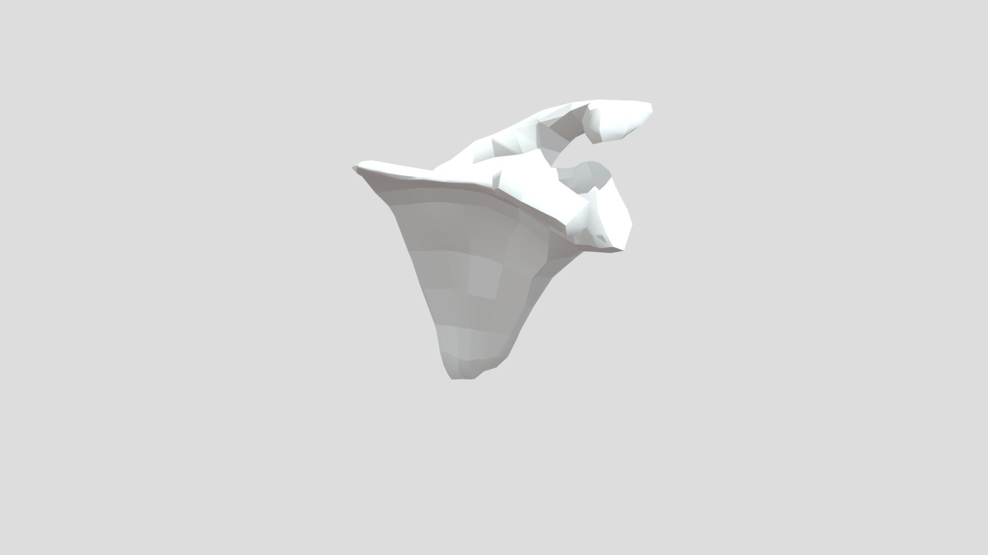 scapula sketchfab - 3D model by chydsmn [e147921] - Sketchfab