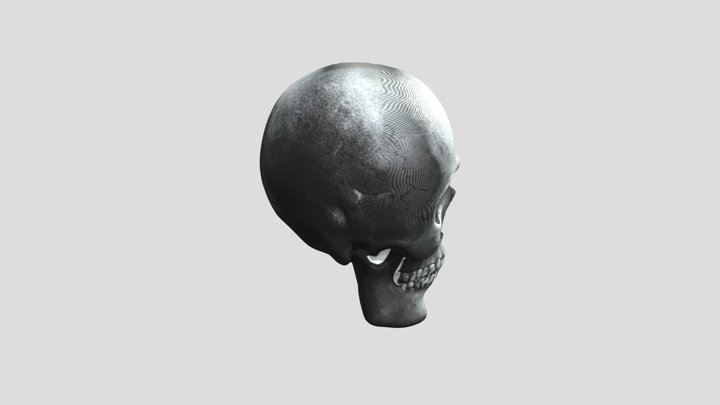 Skull 3D Model