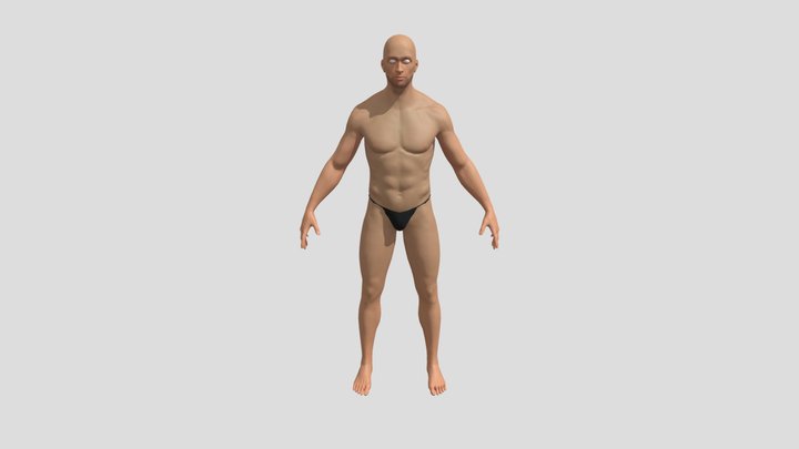 Human Anatomy Project 3D Model
