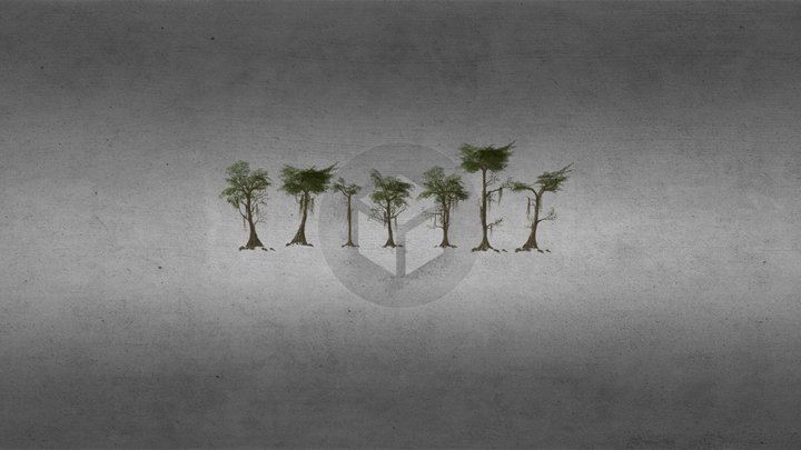 Old Tree 3D Model
