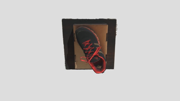 SHOE 3D Model