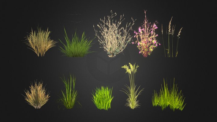 Grass pack 3D Model