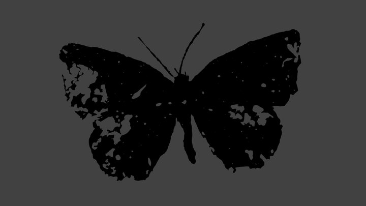 Freyeria Trochylus – Modello 3D gratuito STL