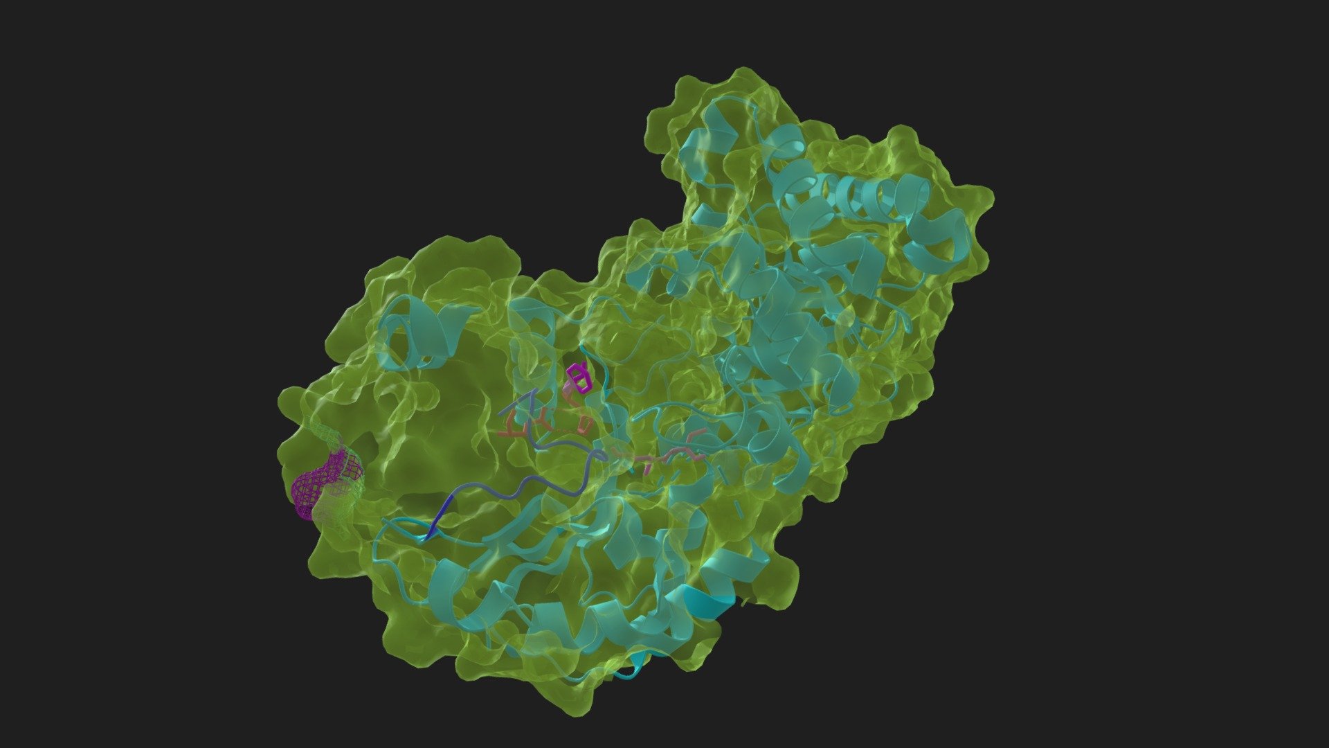 Defining Features of P.falciparum TPI Enzyme - 3D model by jleitch