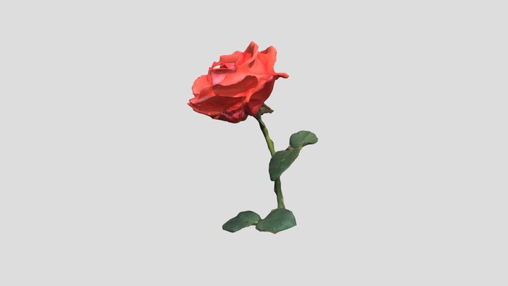 Rose 3D Model