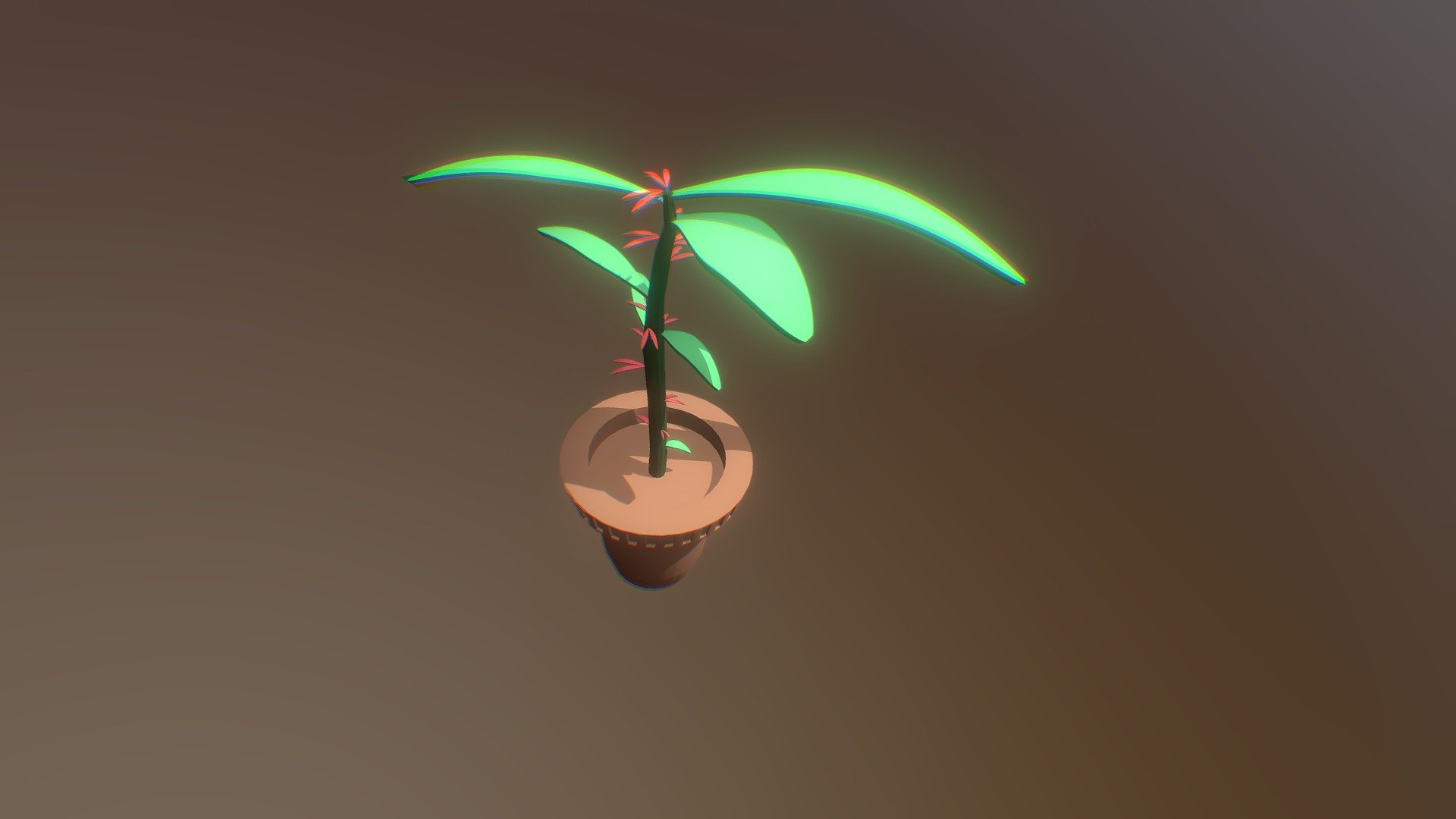Plants Pot