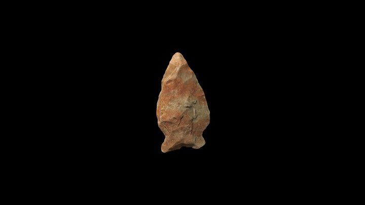 Small Projectlie point 3D Model