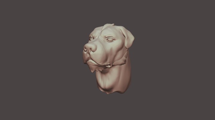 Saren Doggo 3D Model