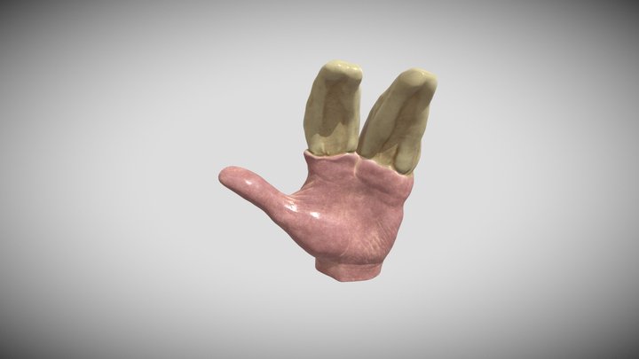 Hand3 3D Model