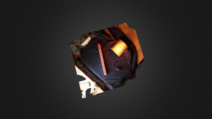 МЦД 3D Model