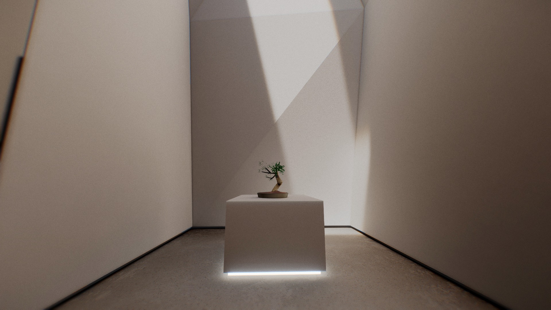 3D model VR Zen Showroom & Art Gallery 2019 - This is a 3D model of the VR Zen Showroom & Art Gallery 2019. The 3D model is about a plant in a pot in a room.